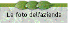 Le foto dell'azienda