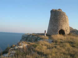 http://www.nelsalento.com/immaginipagine/S/SALENTO_torri.jpg